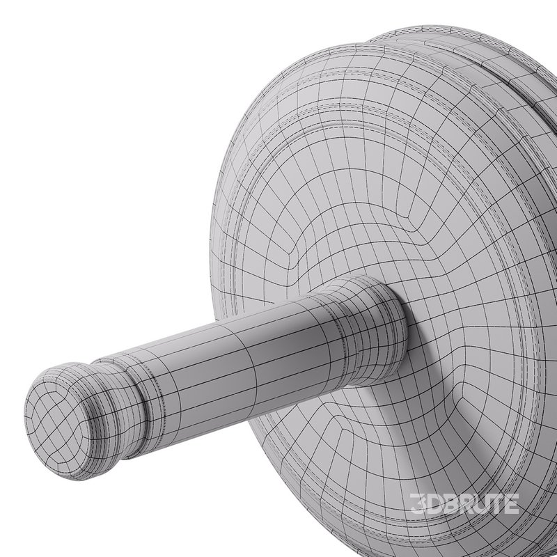 TWISTA Luxury Gym AB Roller Image 15