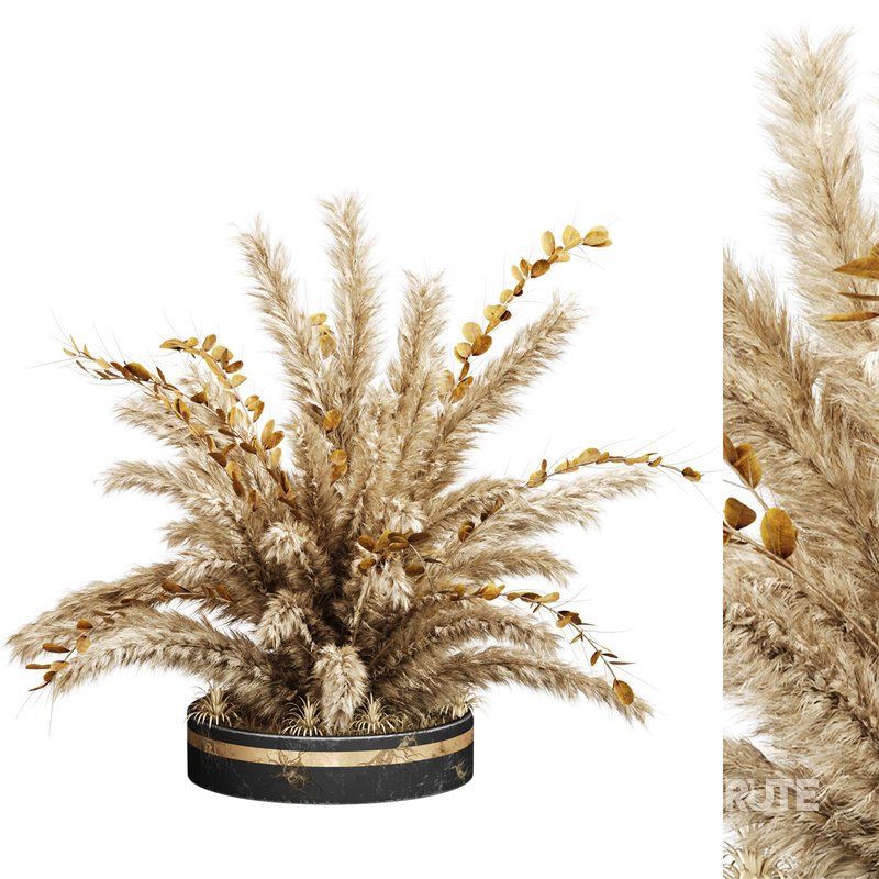 Decorative Pampas and Dried Leaves Arrangement Image 2