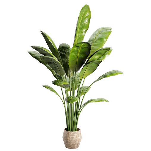 Modern Indoor Planter