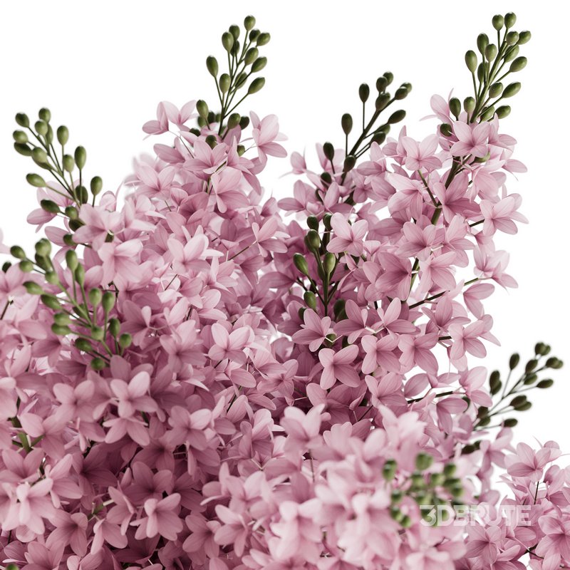 Elegant Pink White Lilac Flower in Glass Vases Image 4