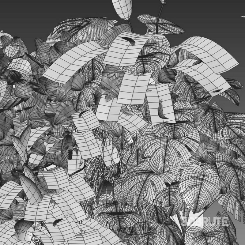 Vertical garden 19 Image 2