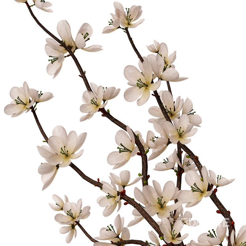 pottery vases Image 3