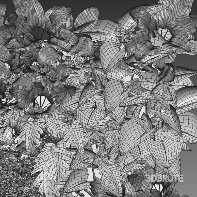 Vertical garden 21 Image 2