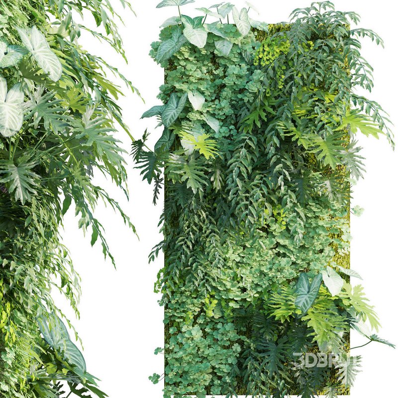 Vertical garden 20 Image 1