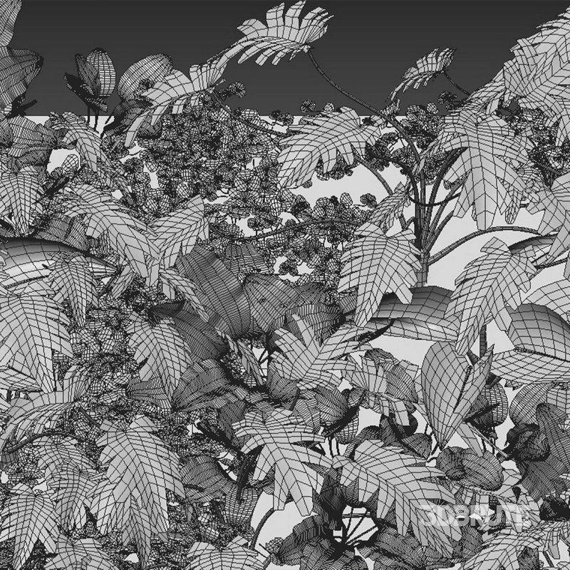 Vertical Garden 11 Image 2