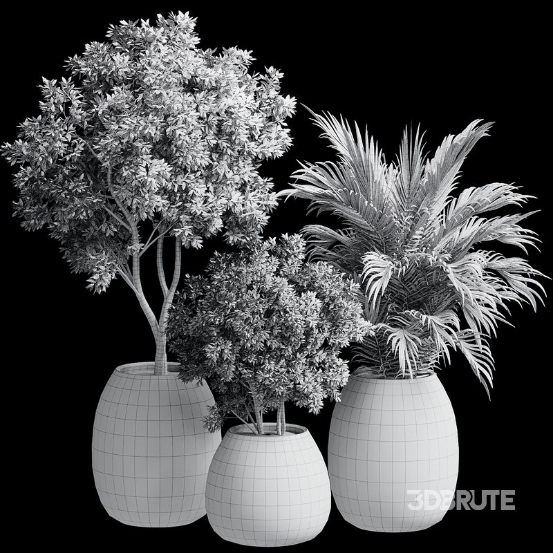 Outdoor Plant 37 Image 5