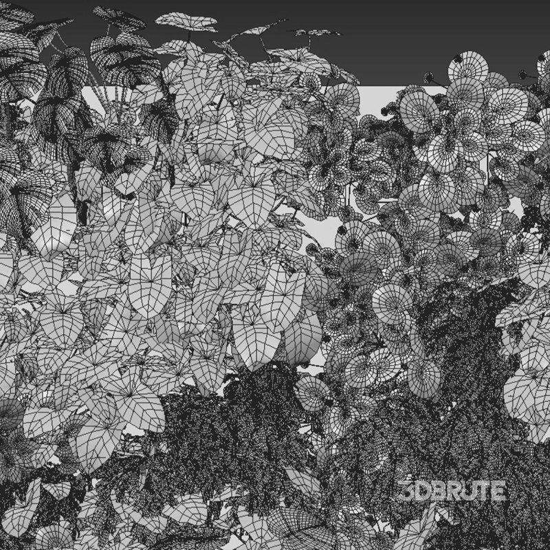 Vertical garden 07 Image 2