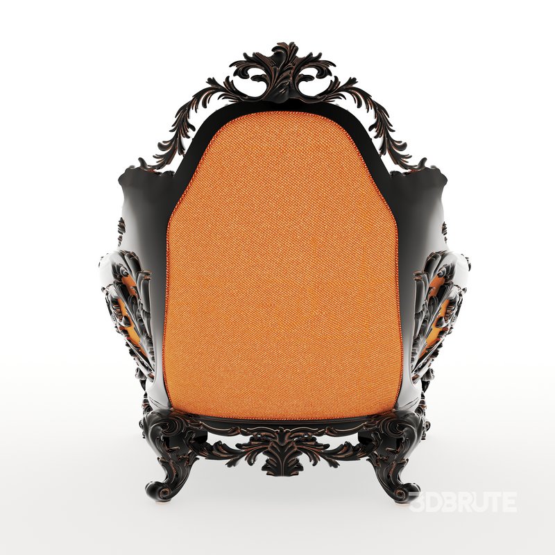 Rich Armchair Image 7