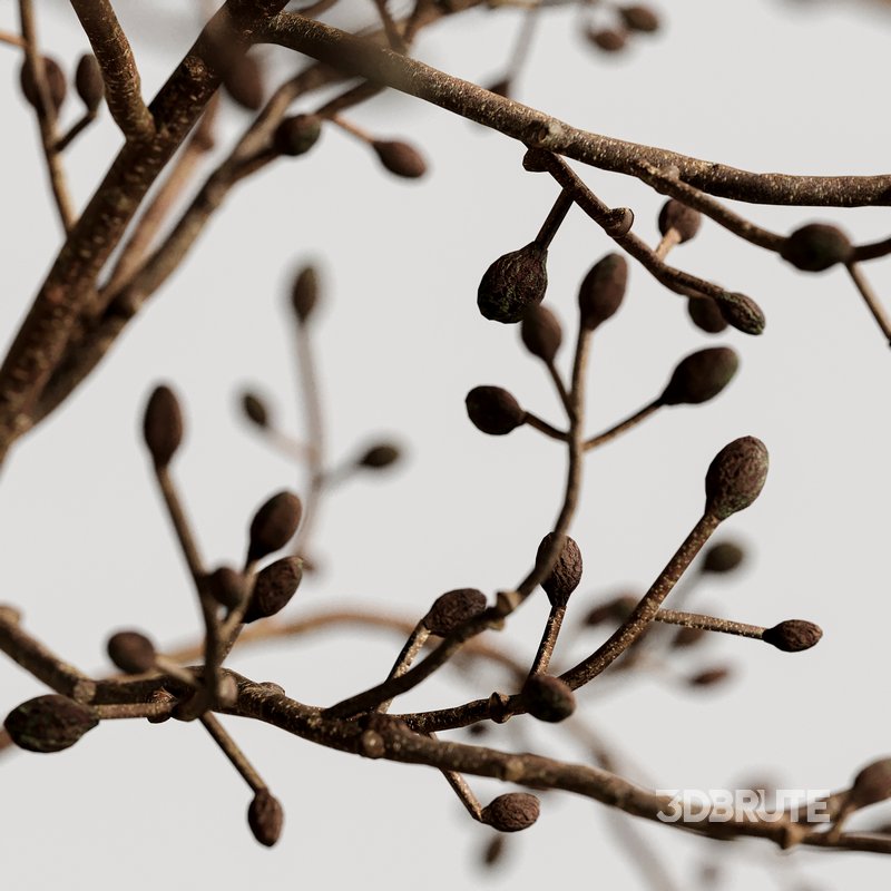 Tableware Decor set9 Image 5