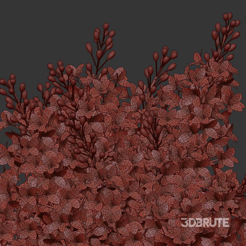 Elegant Pink White Lilac Flower in Glass Vases Image 5