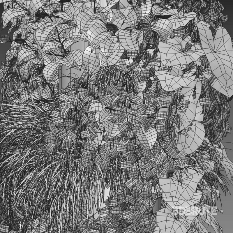 Vertical garden 24 Image 2