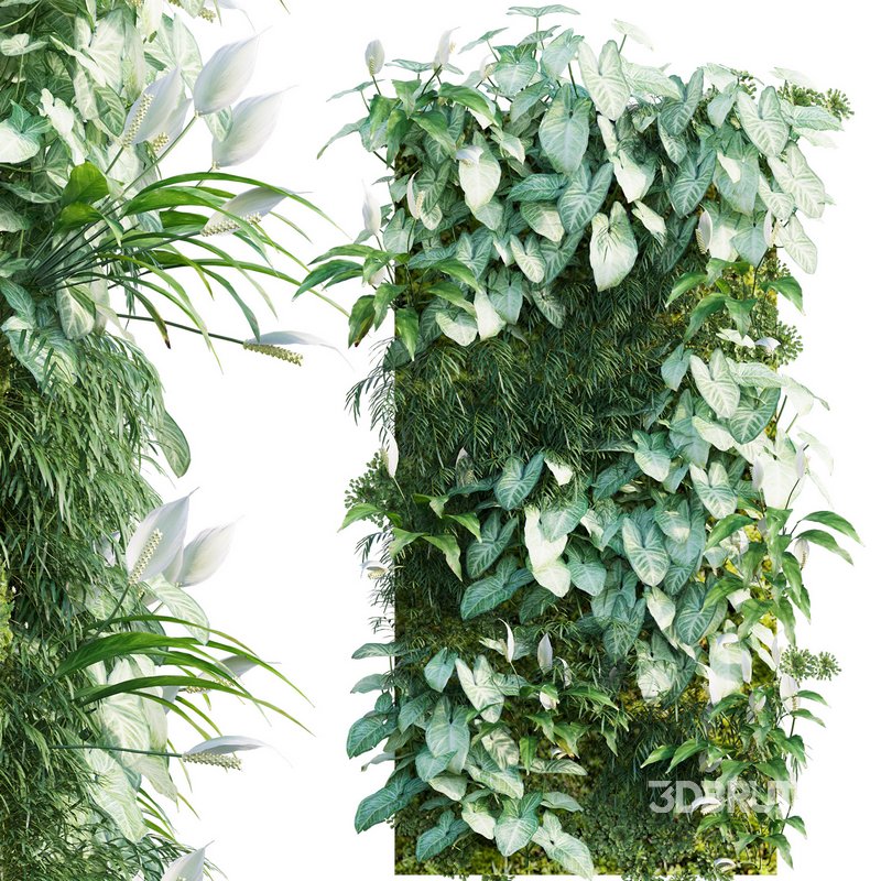 Vertical garden 17 Image 1