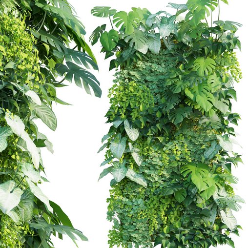 Vertical Garden 22