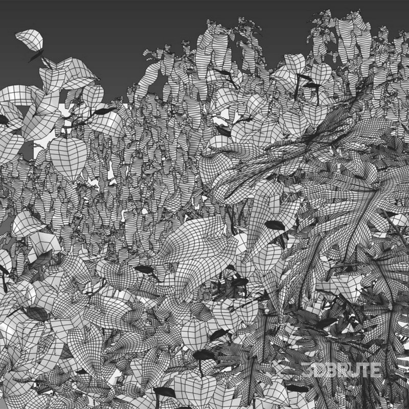 Vertical garden 23 Image 2