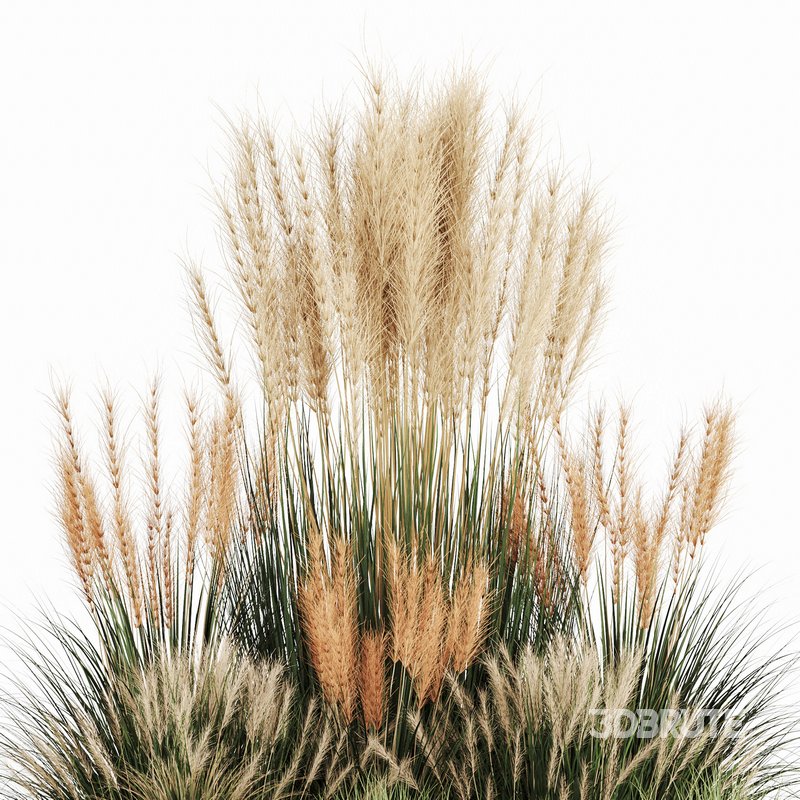 Bush-Bush set-09 Image 2