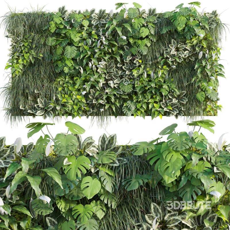 Vertical garden 09 Image 1