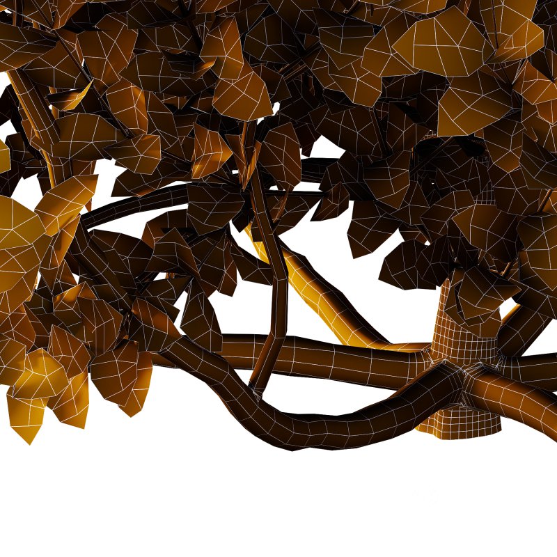 ntal plant, kept for its large, showy flowers. Image 7