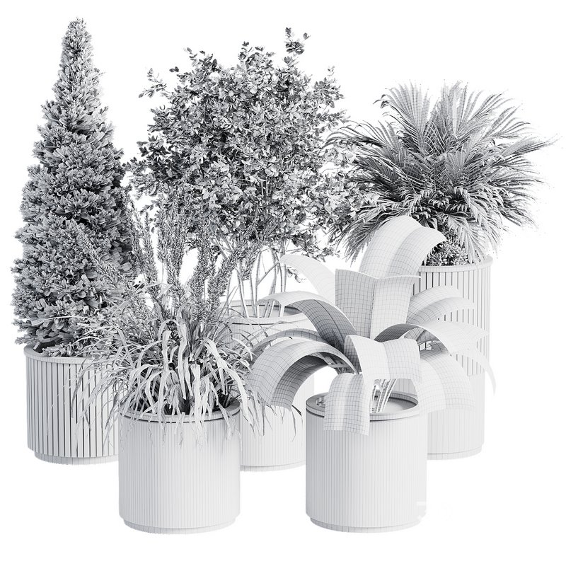 Outdoor Plant 36 Image 3