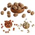 Mixed nuts - Thumbnail 1
