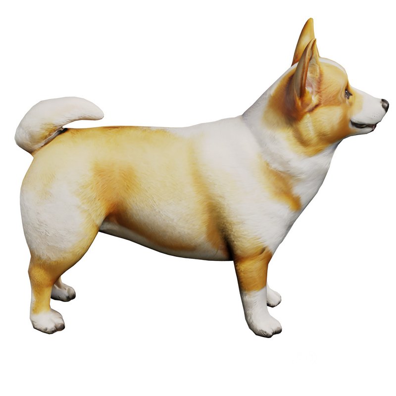 Corgi Image 1