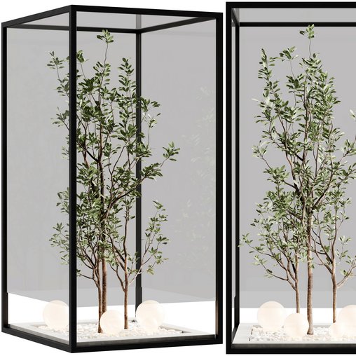 indoor plant set 32