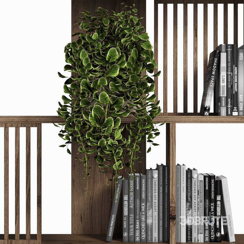 125 bookcase 125 Image 3