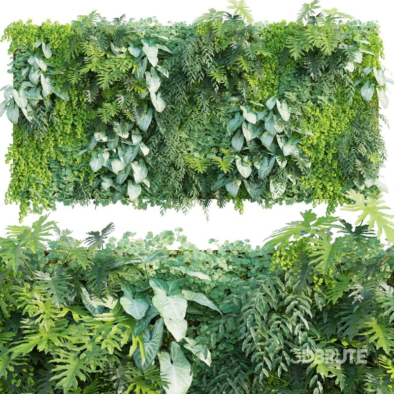 Vertical Garden 10 Image 1