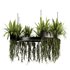 Indoorplants-Hanging plants set-84 - Thumbnail 5
