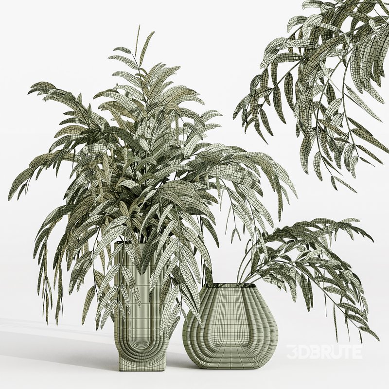 bouquets eucalyptus Image 2