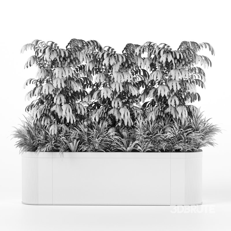 Plants In Box set-151 Image 3