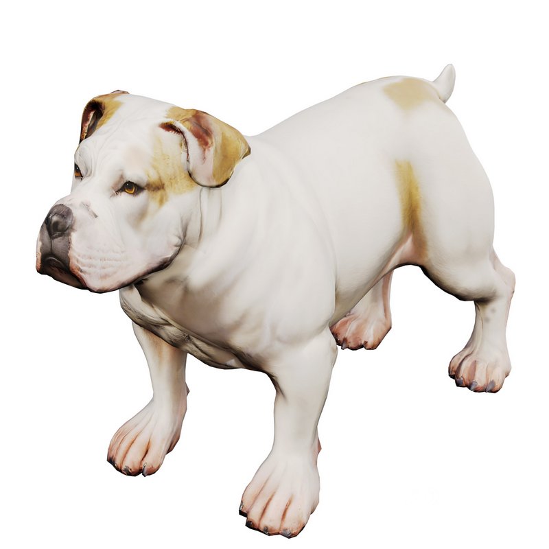 Bulldog Image 6