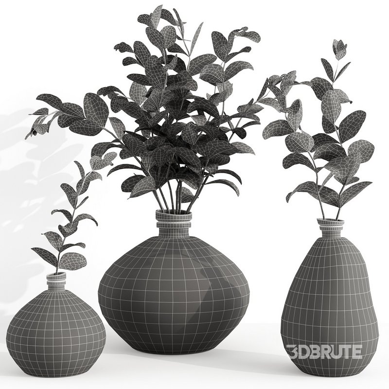 Set Bouquets eucalyptus Image 4