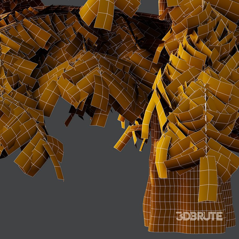 spruce tree10 Image 3