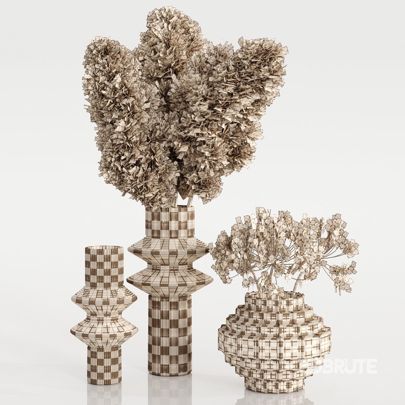 Set Bouquets pampas Image 4