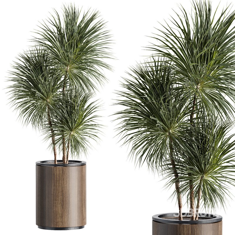 Outdoor Plant 35 Image 7