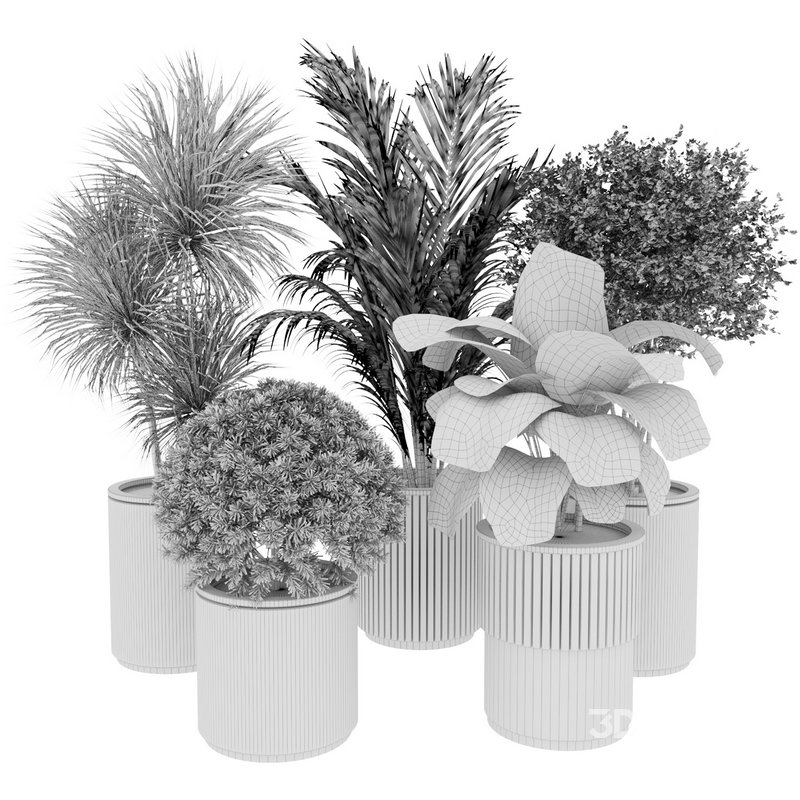 Outdoor Plant 35 Image 5