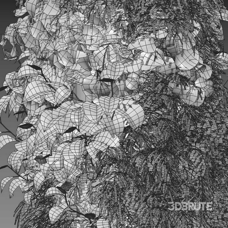 Vertical garden 26 Image 2