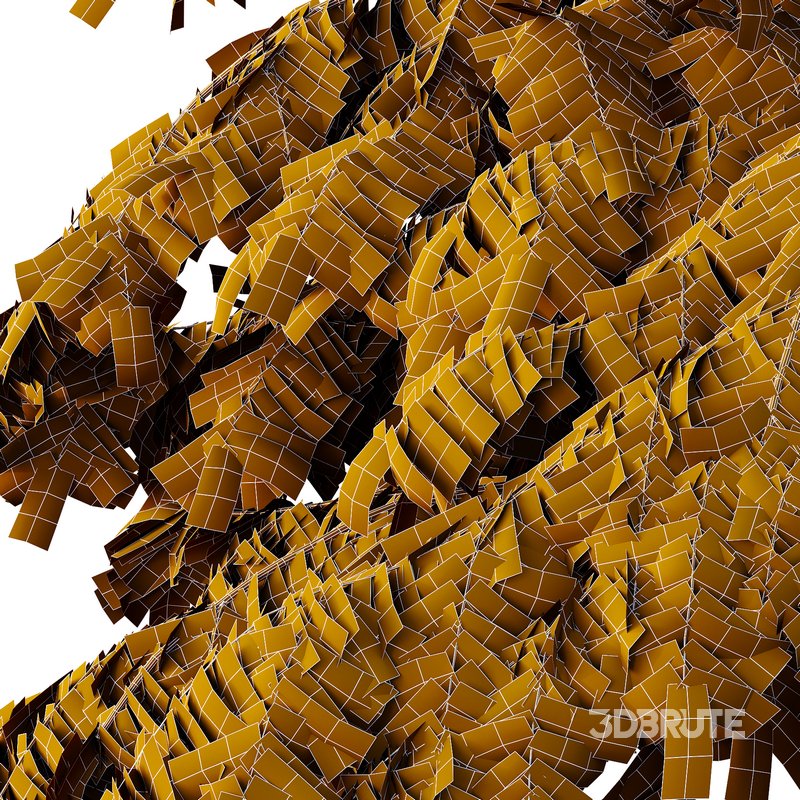 spruce tree11 Image 2