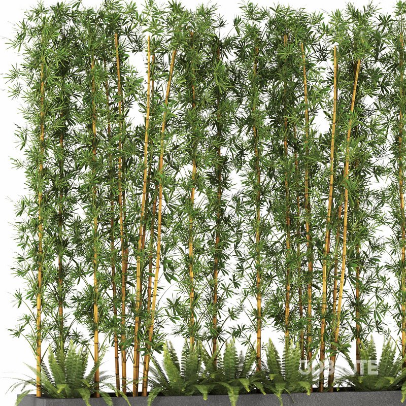 Plants In Box set-152 Image 4