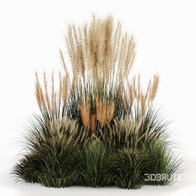 Bush-Bush set-09 Image 1