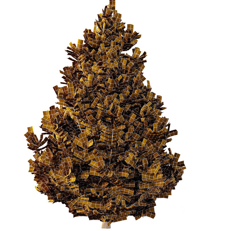 spruce tree005 Image 5