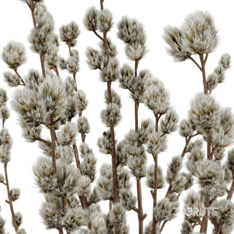 Set Bouquets 15 Image 2