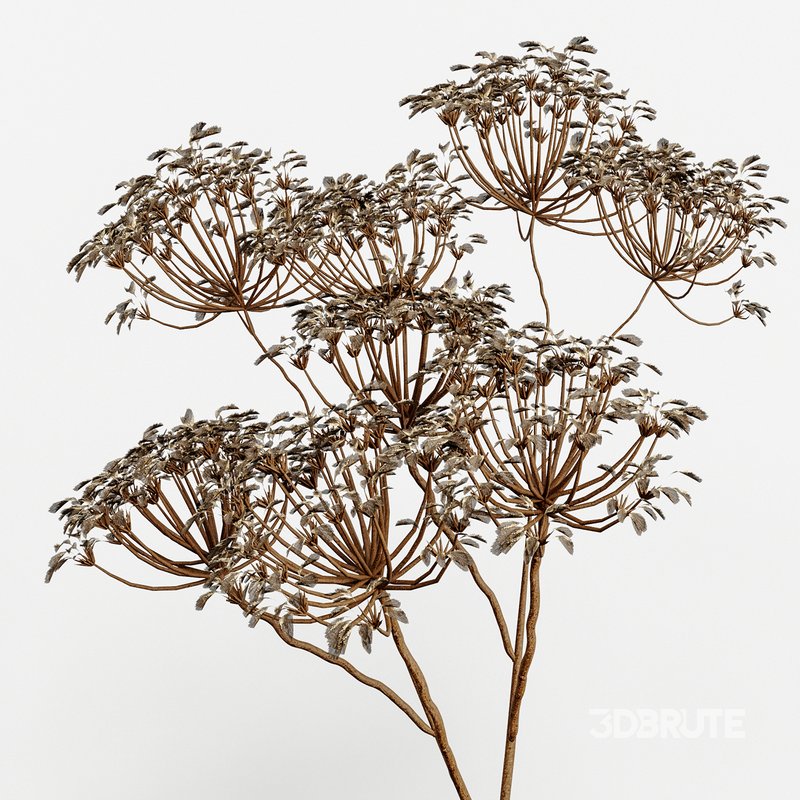 Set Bouquets Hazel Image 3