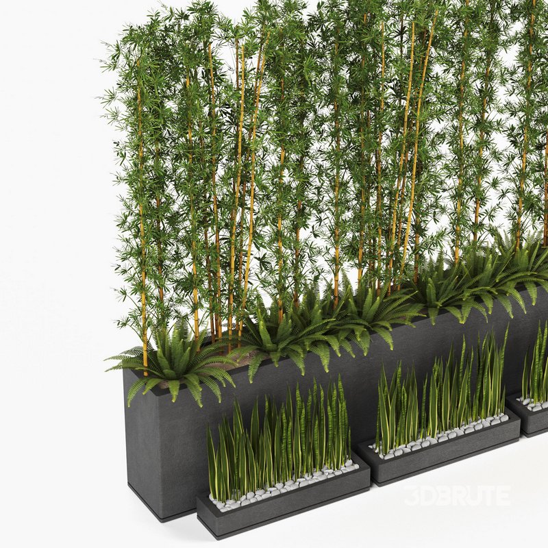 Plants In Box set-152 Image 2