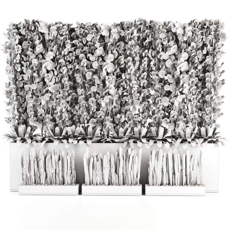 Plants In Box set-152 Image 5