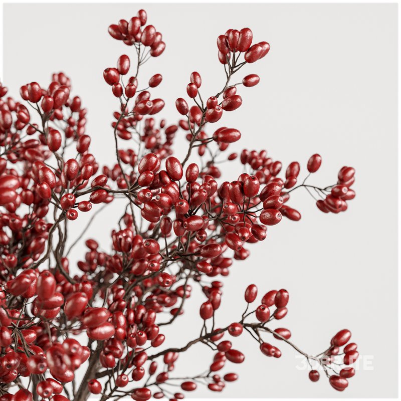 Kitchen Decor set5 Image 3