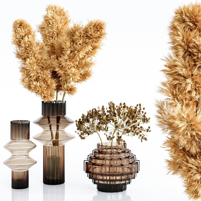 Set Bouquets pampas Image 2