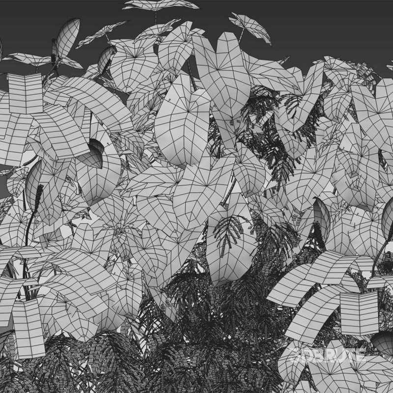 Vertical garden 17 Image 2