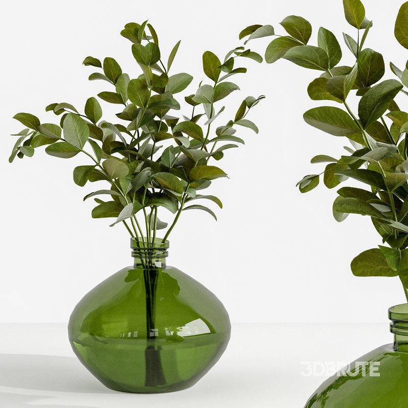 Set Bouquets eucalyptus Image 3