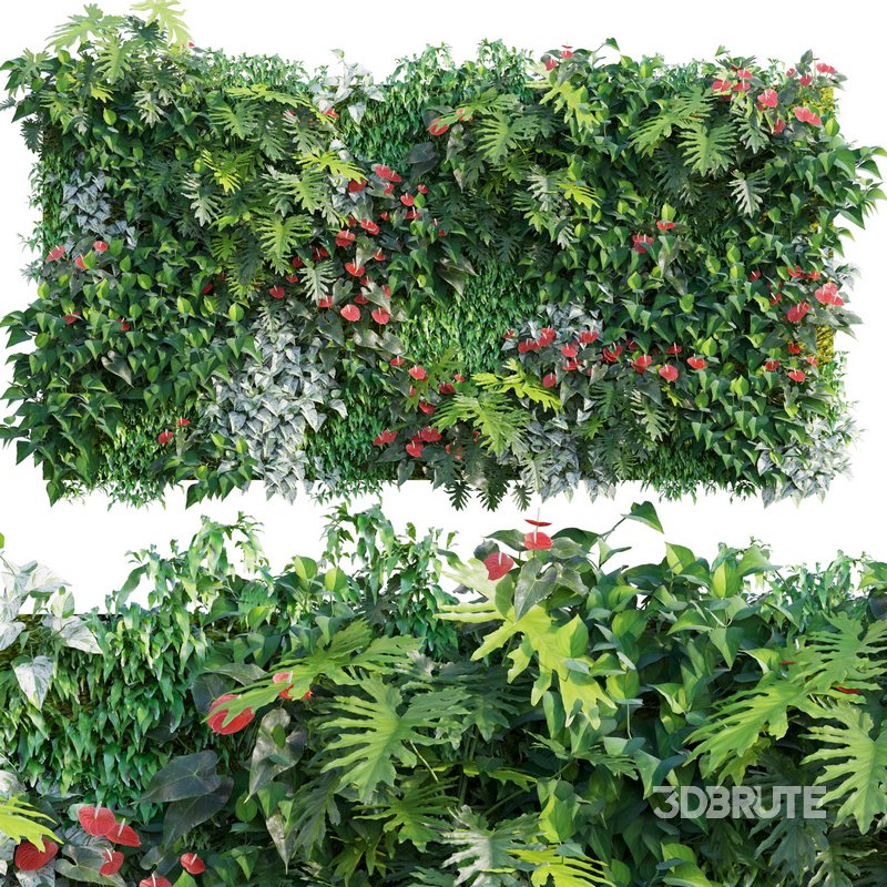 Vertical Garden 13 Image 1